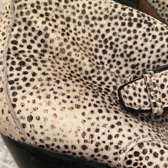 Dolce Vita booties with buckle. Real for. - Picture 3 of 6